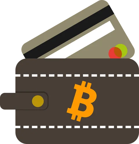 Leather wallet holding cards marked with the Bitcoin symbol